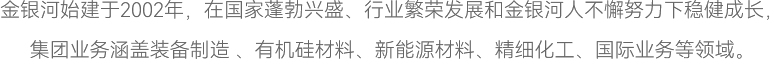 金銀河始建于2002年，在國(guó)家蓬勃興盛、行業(yè)繁榮發(fā)展和金銀河人不懈努力下穩(wěn)健成長(zhǎng)，
集團(tuán)業(yè)務(wù)涵蓋裝備制造 、有機(jī)硅材料、新能源材料、精細(xì)化工、國(guó)際業(yè)務(wù)等領(lǐng)域。